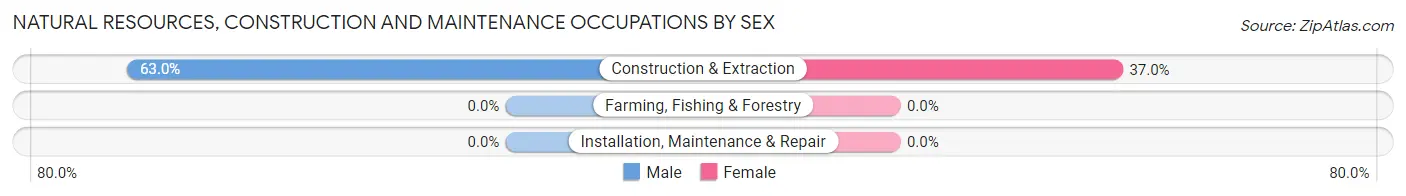 Natural Resources, Construction and Maintenance Occupations by Sex in Ellington