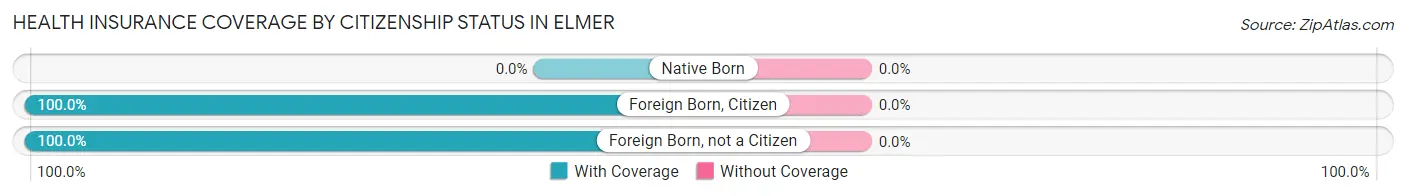 Health Insurance Coverage by Citizenship Status in Elmer