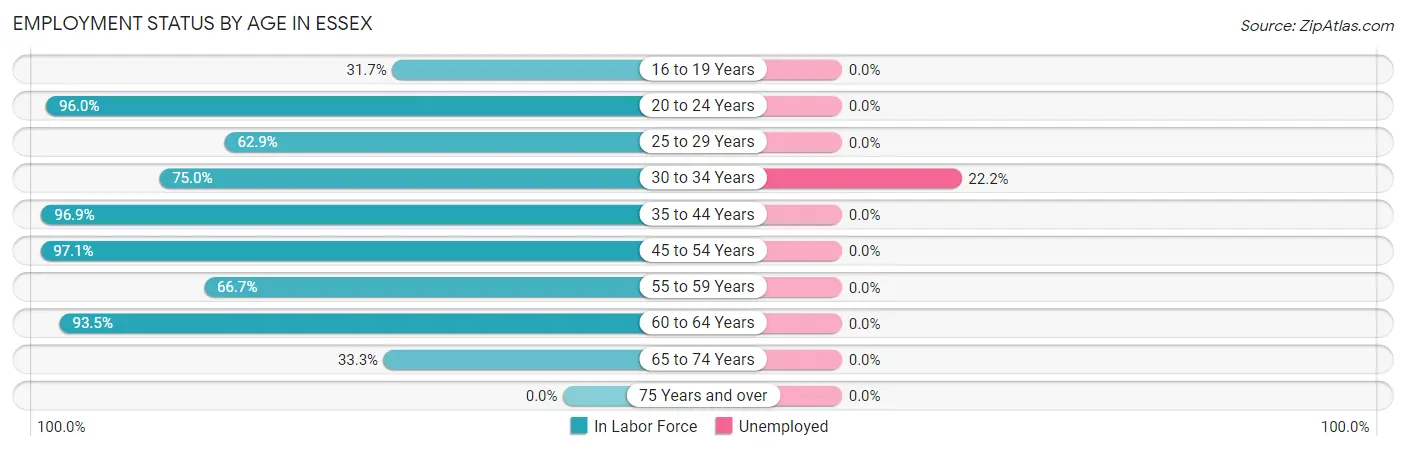 Employment Status by Age in Essex