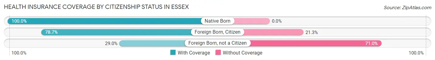 Health Insurance Coverage by Citizenship Status in Essex