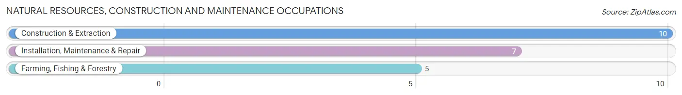 Natural Resources, Construction and Maintenance Occupations in Essex