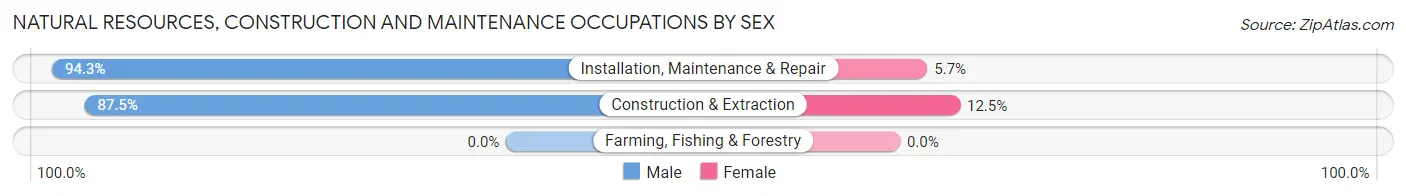Natural Resources, Construction and Maintenance Occupations by Sex in Fair Grove