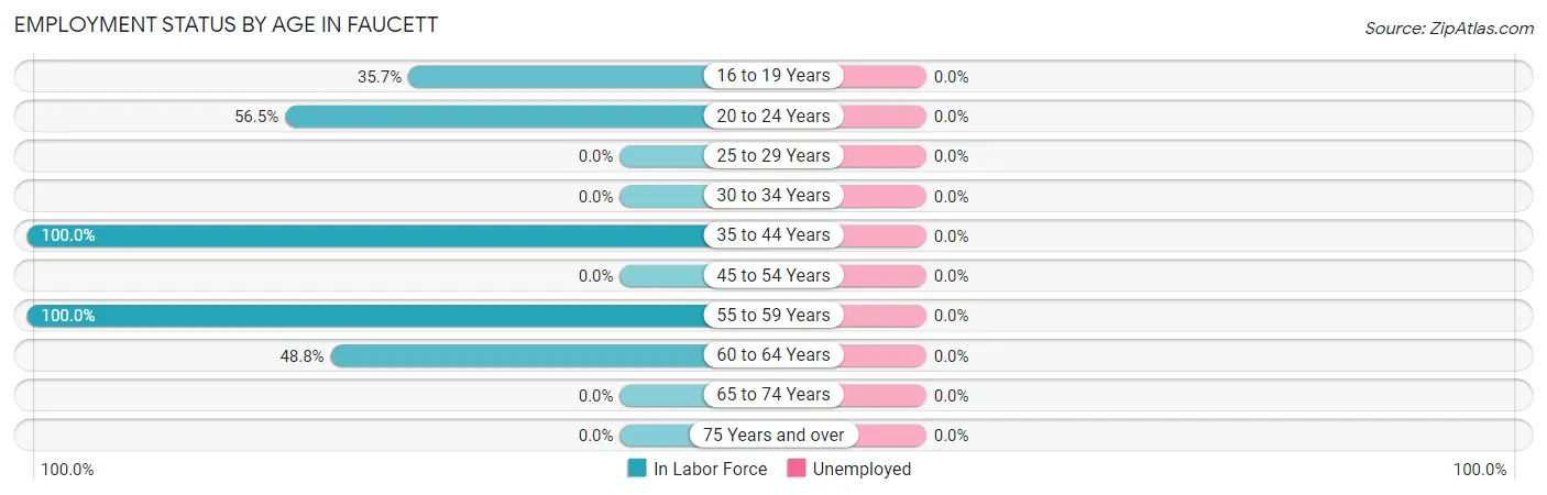 Employment Status by Age in Faucett