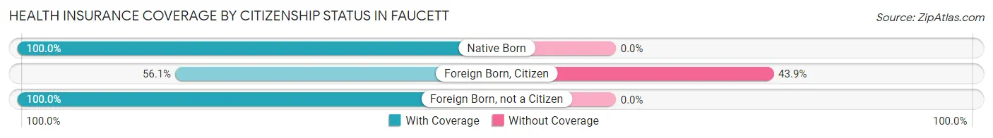 Health Insurance Coverage by Citizenship Status in Faucett