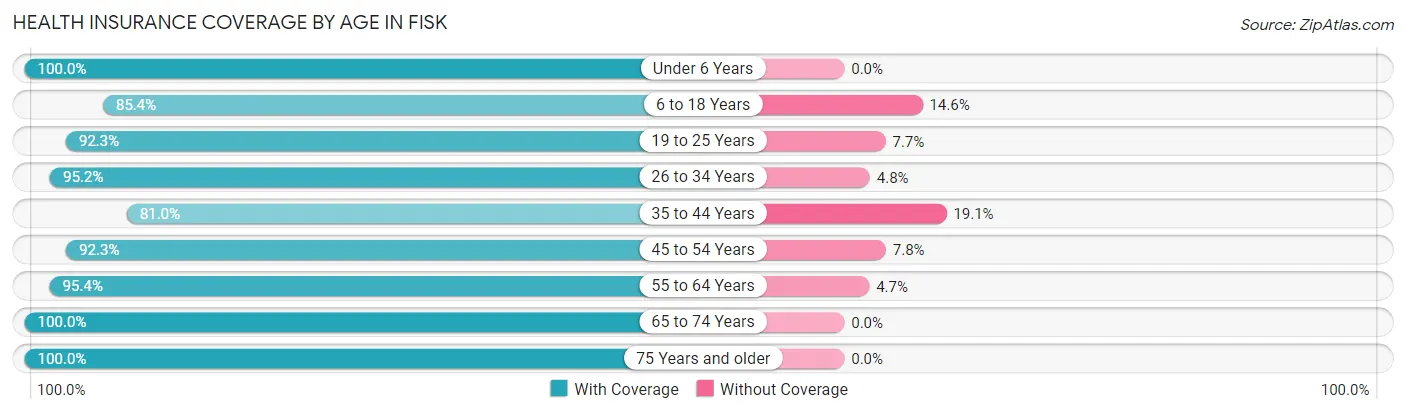 Health Insurance Coverage by Age in Fisk