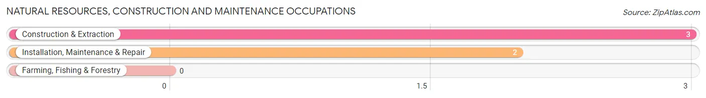 Natural Resources, Construction and Maintenance Occupations in Fisk