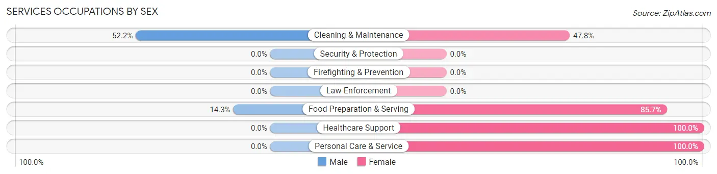 Services Occupations by Sex in Fisk