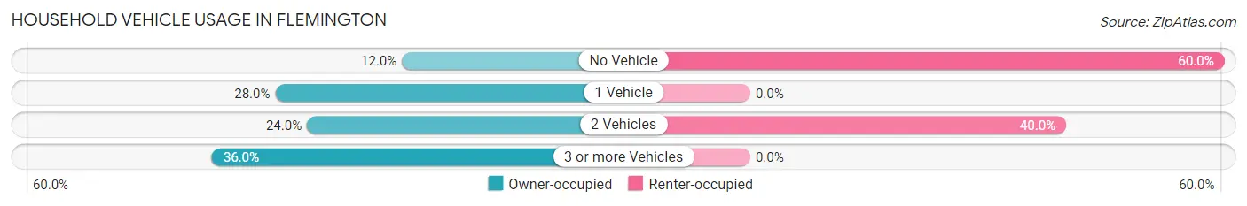 Household Vehicle Usage in Flemington