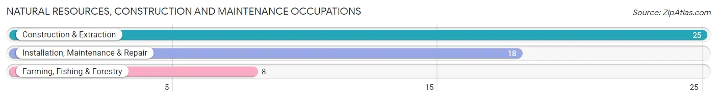 Natural Resources, Construction and Maintenance Occupations in Fordland