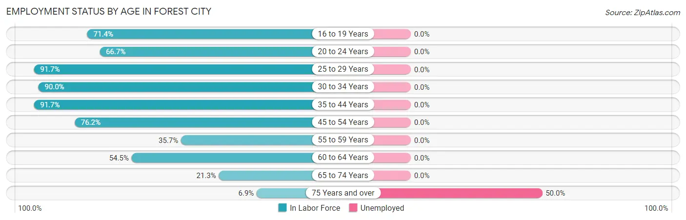 Employment Status by Age in Forest City