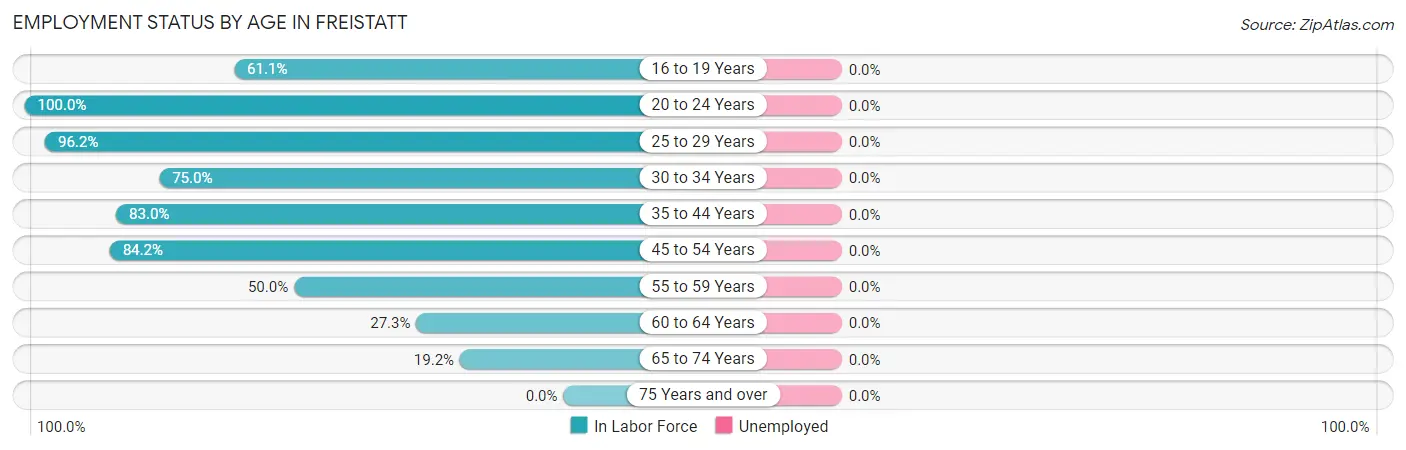 Employment Status by Age in Freistatt