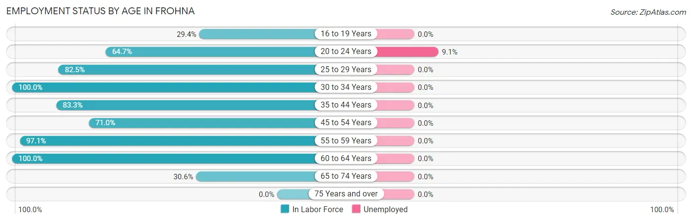 Employment Status by Age in Frohna