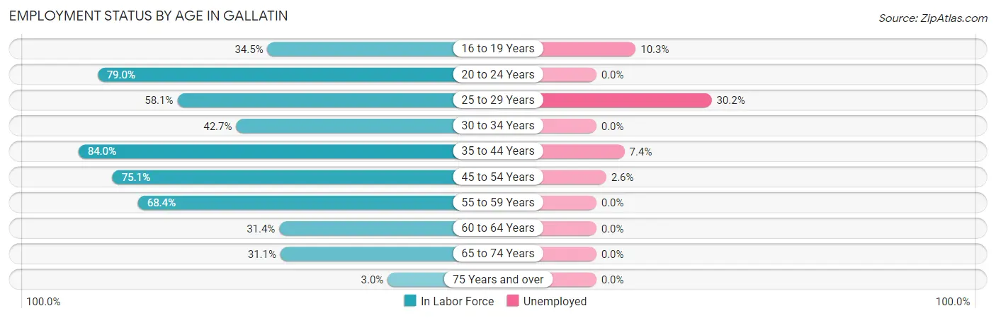 Employment Status by Age in Gallatin
