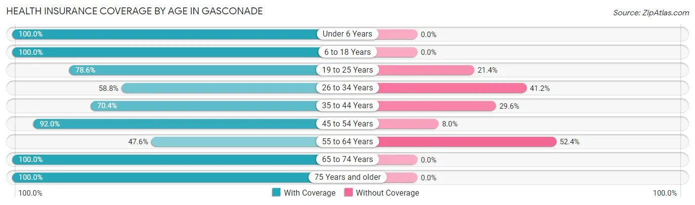 Health Insurance Coverage by Age in Gasconade