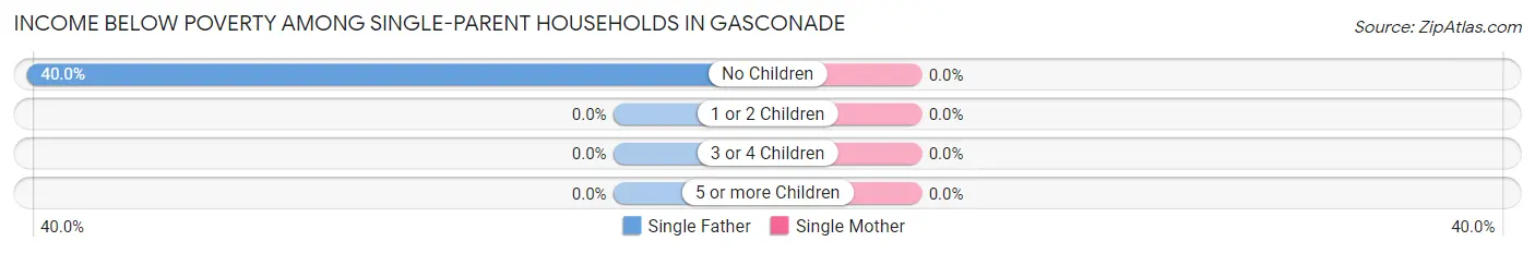 Income Below Poverty Among Single-Parent Households in Gasconade