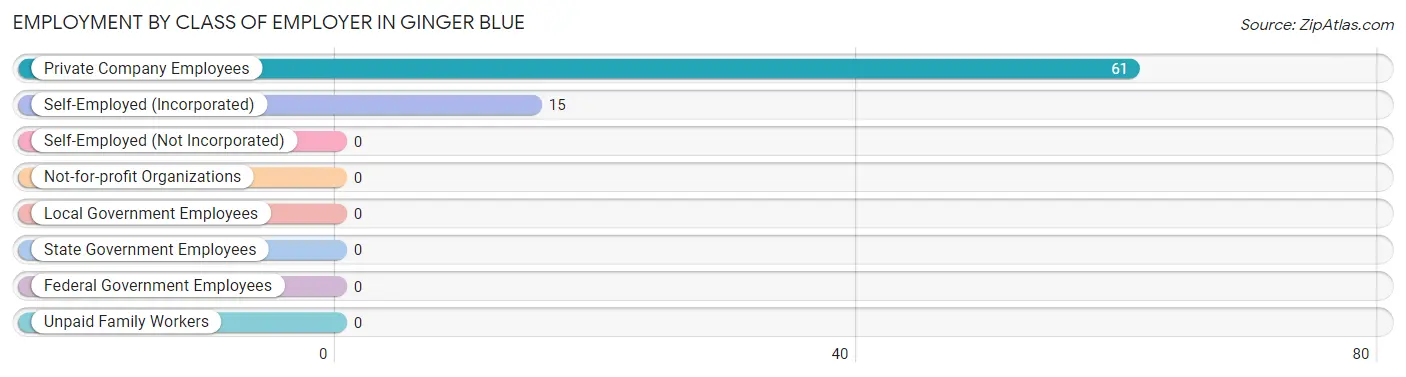 Employment by Class of Employer in Ginger Blue