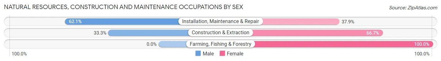 Natural Resources, Construction and Maintenance Occupations by Sex in Glasgow