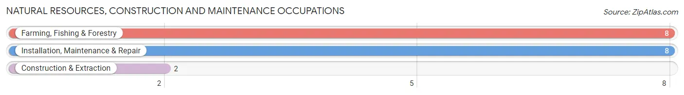 Natural Resources, Construction and Maintenance Occupations in Golden City