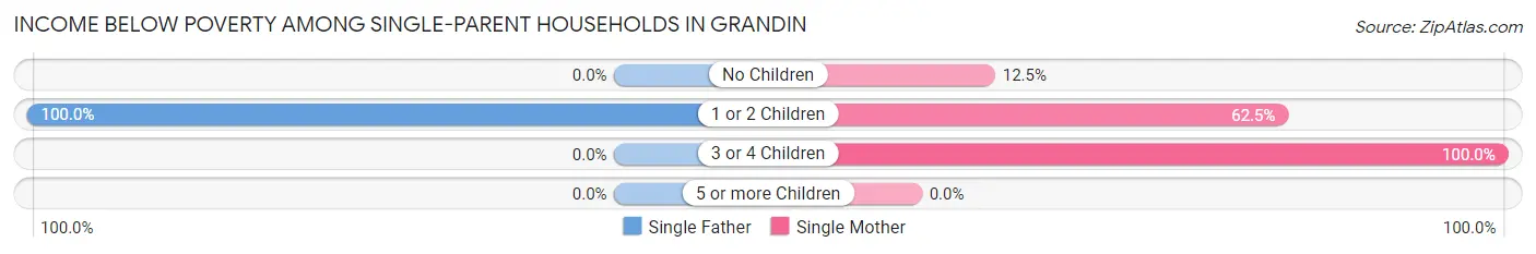 Income Below Poverty Among Single-Parent Households in Grandin