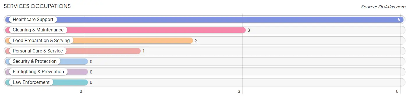 Services Occupations in Gravois Mills