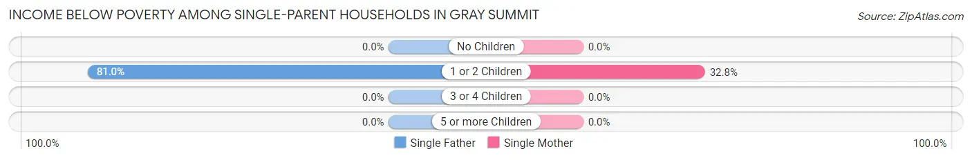 Income Below Poverty Among Single-Parent Households in Gray Summit