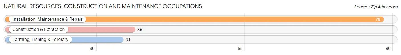 Natural Resources, Construction and Maintenance Occupations in Gray Summit