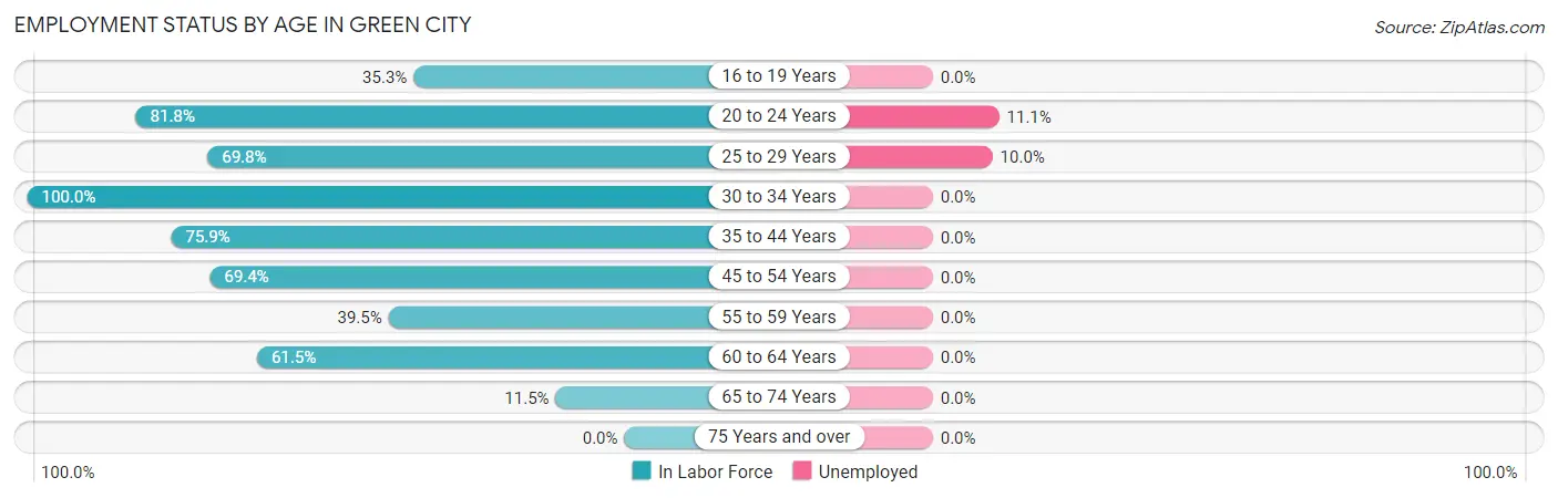 Employment Status by Age in Green City