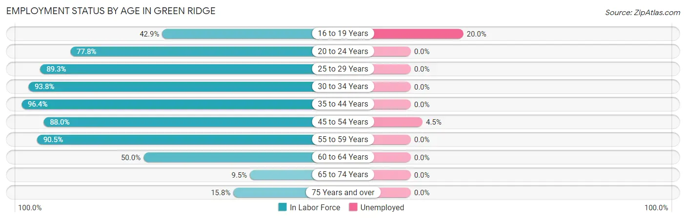 Employment Status by Age in Green Ridge