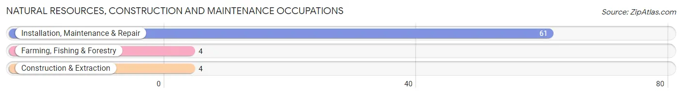 Natural Resources, Construction and Maintenance Occupations in Greentop