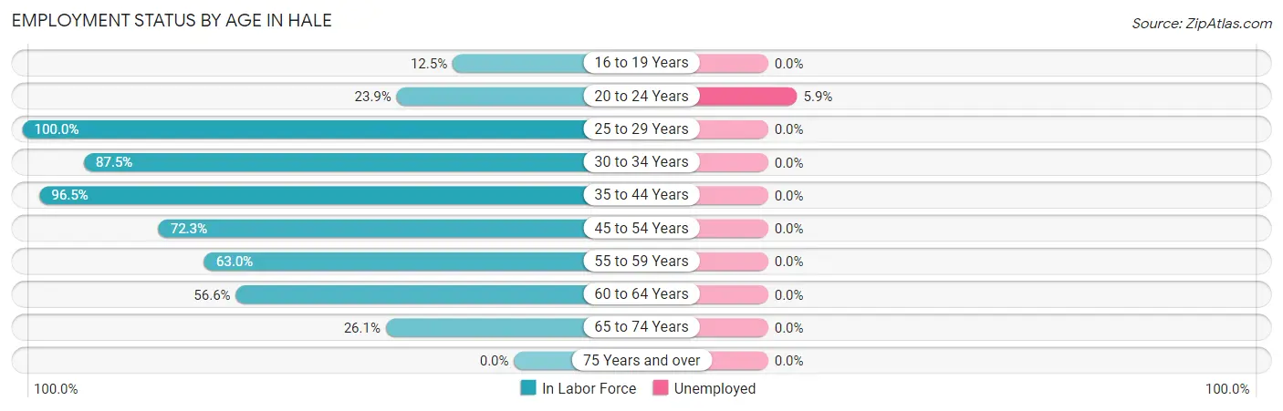 Employment Status by Age in Hale