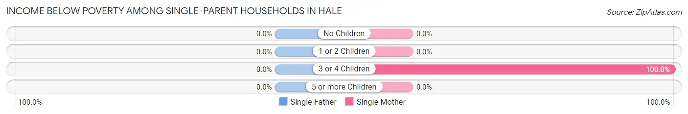Income Below Poverty Among Single-Parent Households in Hale