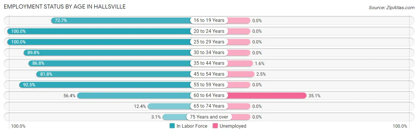 Employment Status by Age in Hallsville