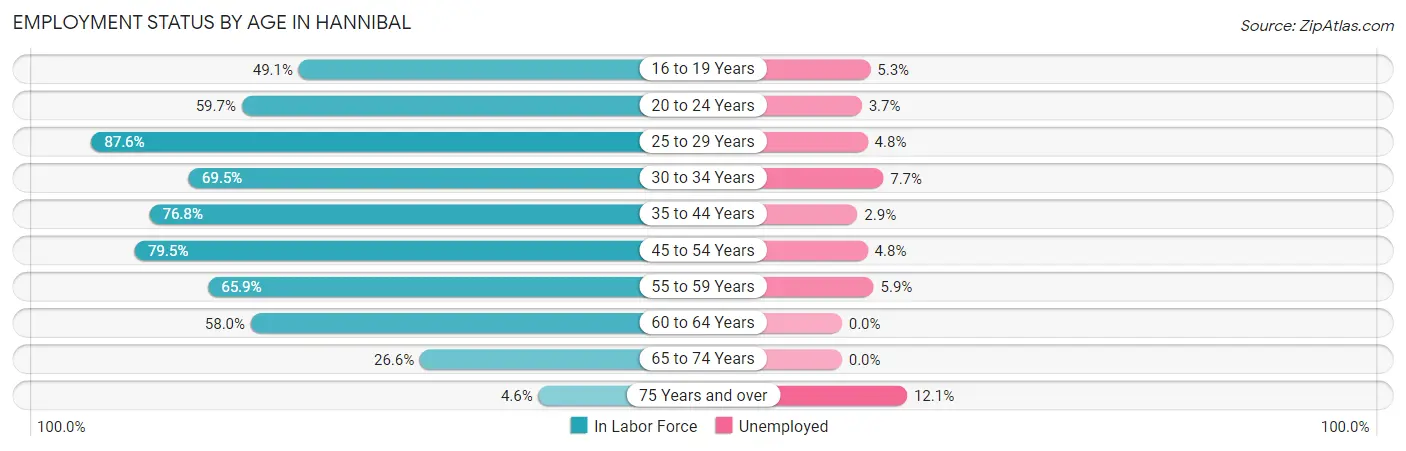 Employment Status by Age in Hannibal