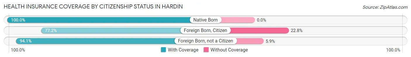 Health Insurance Coverage by Citizenship Status in Hardin