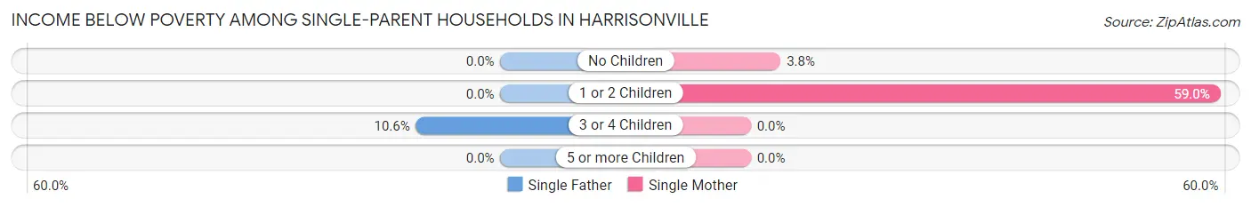 Income Below Poverty Among Single-Parent Households in Harrisonville