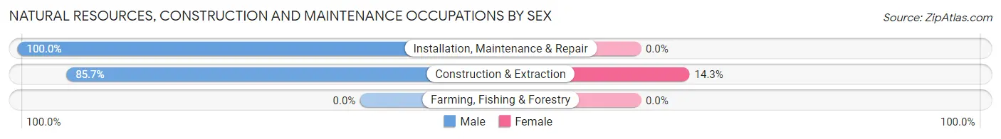 Natural Resources, Construction and Maintenance Occupations by Sex in Hawk Point