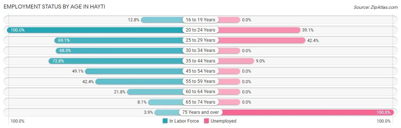 Employment Status by Age in Hayti