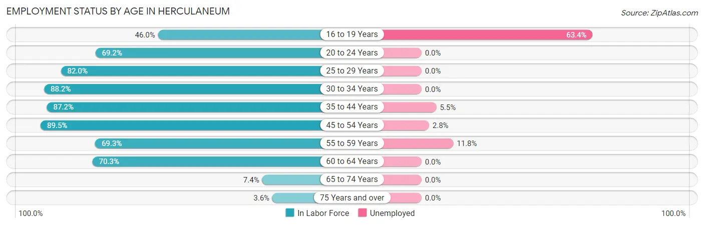 Employment Status by Age in Herculaneum