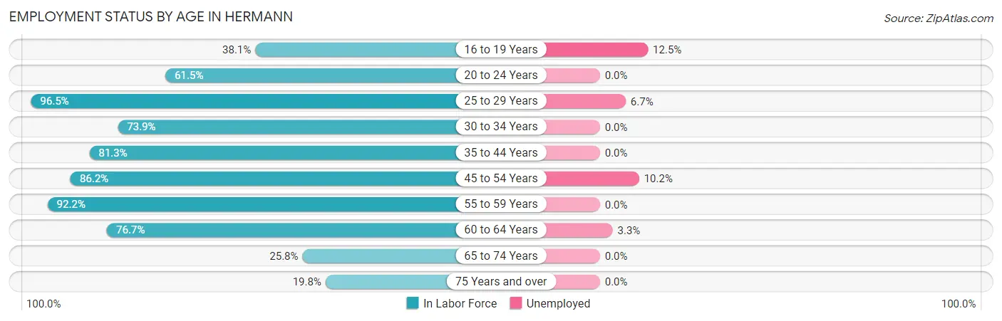 Employment Status by Age in Hermann