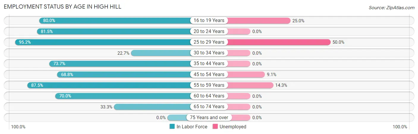 Employment Status by Age in High Hill