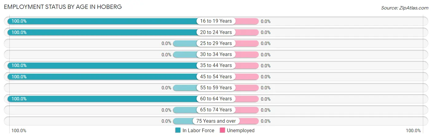 Employment Status by Age in Hoberg