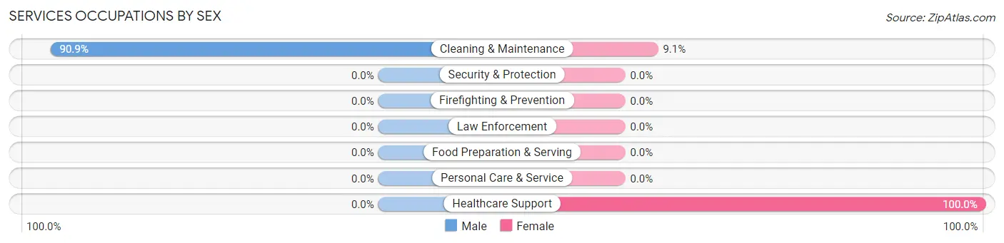 Services Occupations by Sex in Holland
