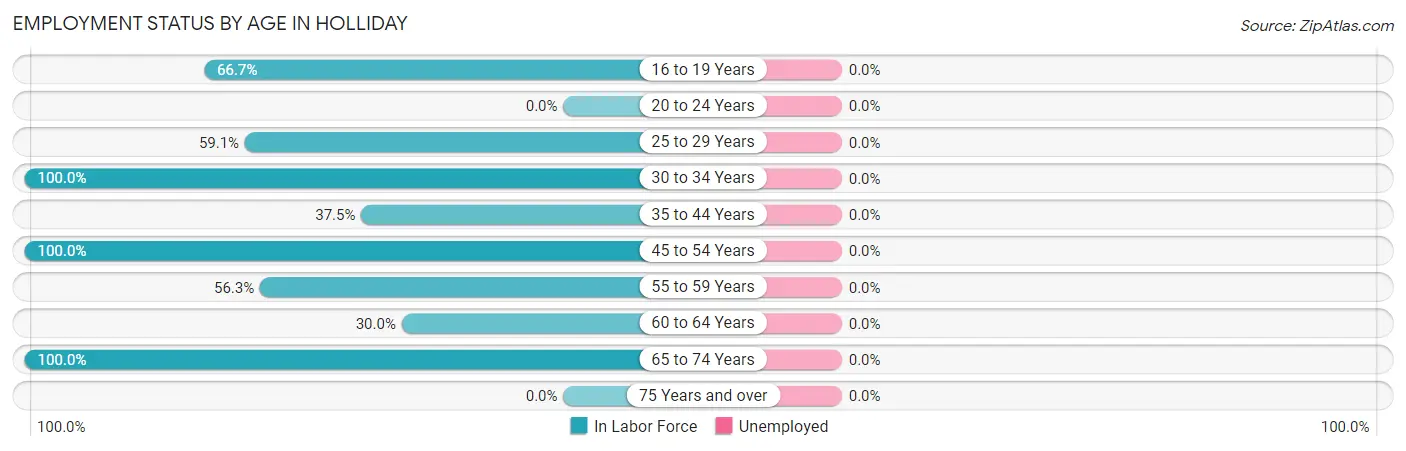 Employment Status by Age in Holliday