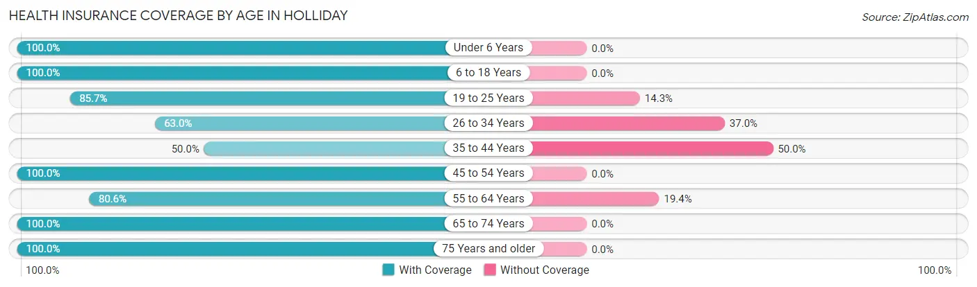 Health Insurance Coverage by Age in Holliday