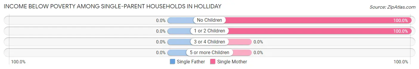 Income Below Poverty Among Single-Parent Households in Holliday