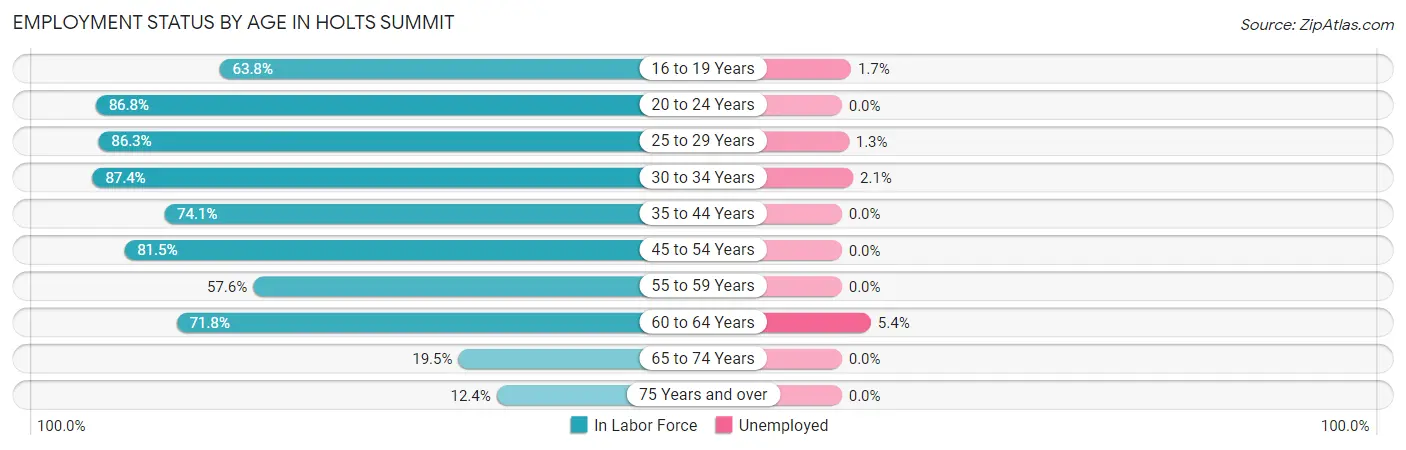 Employment Status by Age in Holts Summit