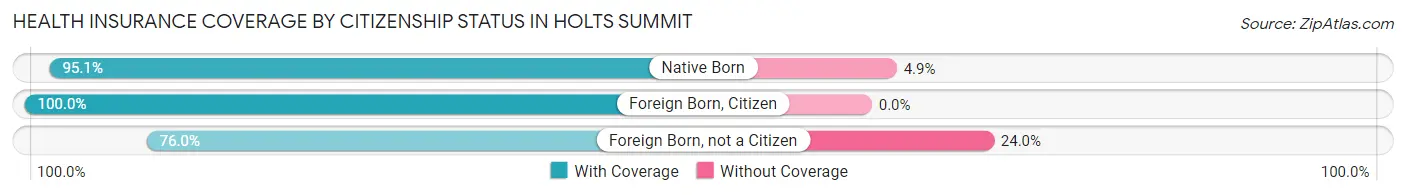 Health Insurance Coverage by Citizenship Status in Holts Summit