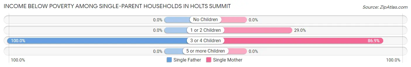 Income Below Poverty Among Single-Parent Households in Holts Summit