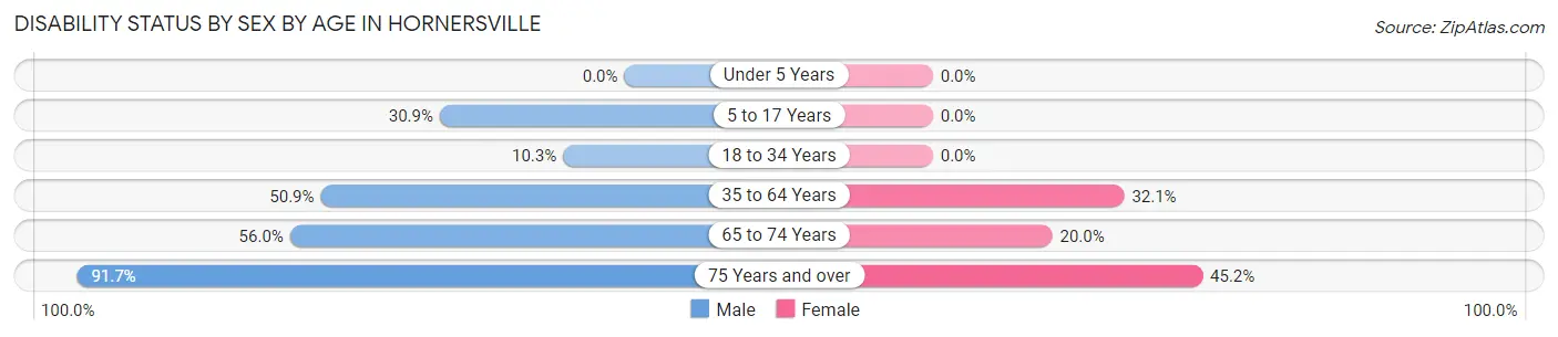 Disability Status by Sex by Age in Hornersville