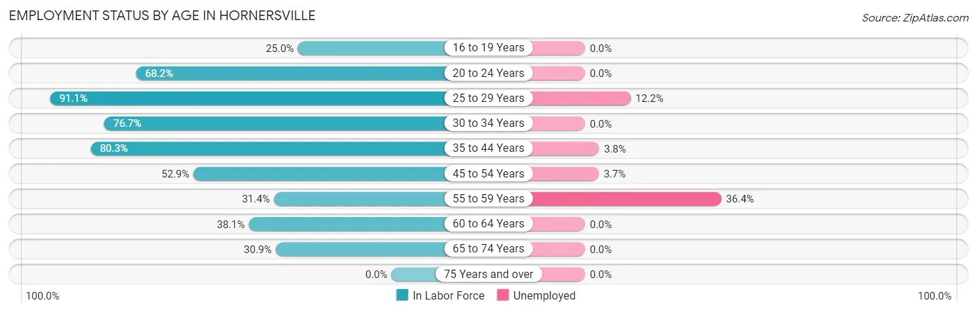 Employment Status by Age in Hornersville